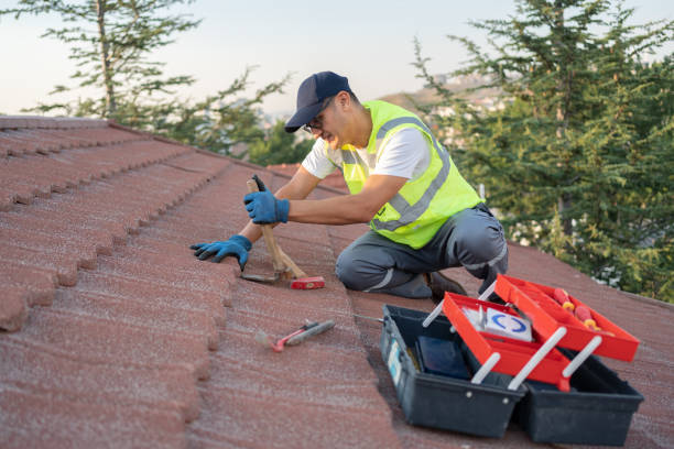 Best Roof Maintenance Services  in Mclean, VA